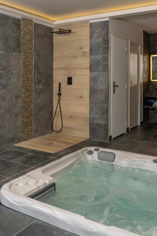 Villa Seyal - Avec Piscine - Jacuzzi - Sauna & Climatisation Ле-Ман Экстерьер фото